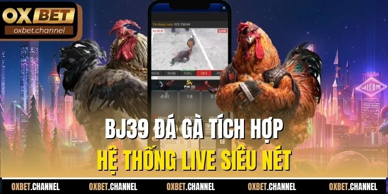BJ39 đá gà tích hợp hệ thống live siêu nét